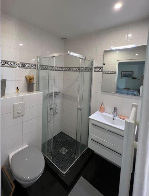 Grand studio magnifique vue, au calme proche ville - Appartement - Vue sur Ville - 18