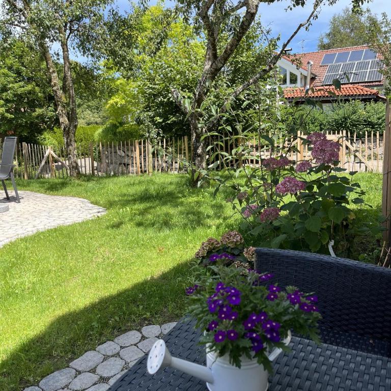 Allgäu-Glück Grünenbach - 2-Zimmer-Apartment - 5