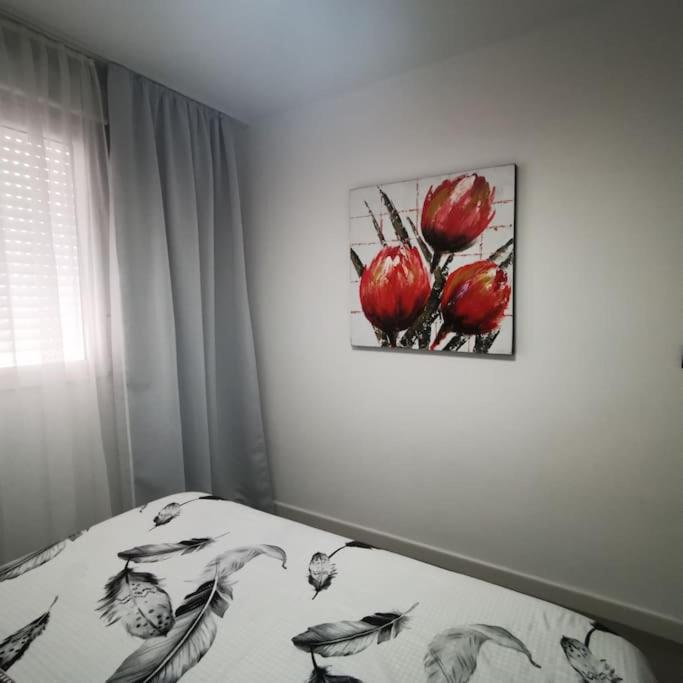 Sunrise Familiar Cerca del Mar en Torrevieja - Apartamento de 2 dormitorios - 34