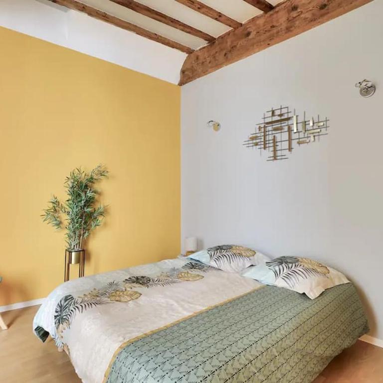 Avignon apartement à 2 pas du Palais de Papes - Appartamento con 2 Camere da Letto - 13
