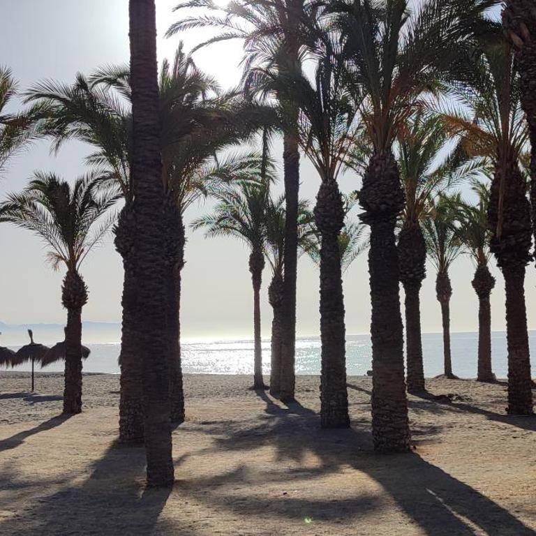 Torremolinos Bajondillo beach - Apartamento de 2 dormitorios - 8