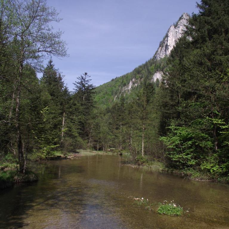 Ferienwohnung am Römerweg Wald - Apartment mit 2 Schlafzimmern - 33
