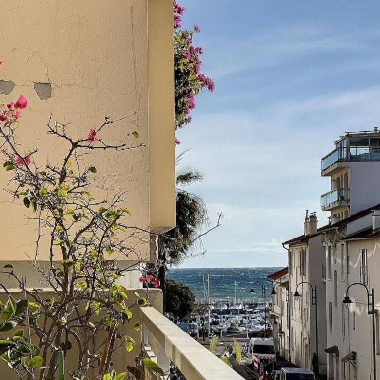 Brise marine Croisette - Appartement 1 Chambre - 5