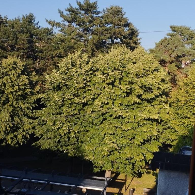 CENTAR CEPERKOVIC - Apartman sa 1 Spavaćom Sobom - 2