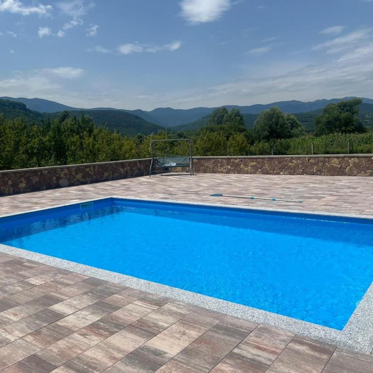 Althea Home & Wellness - Villa with Private Pool - 9