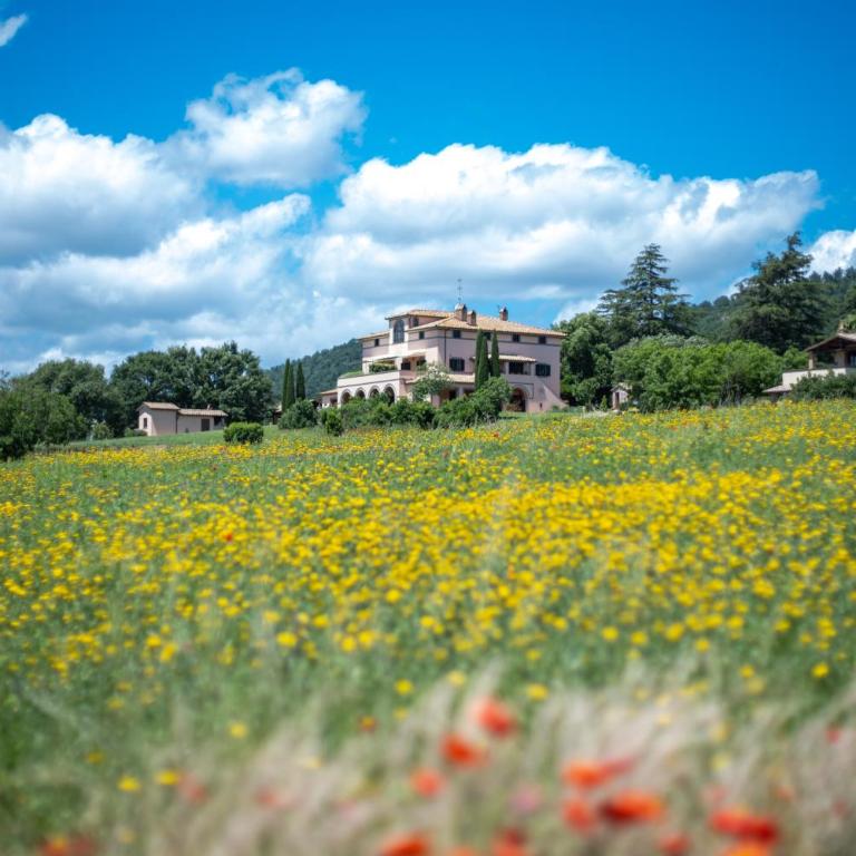 Poderaccio Agri Relais Apartments & Restaurant - Appartamento con 2 Camere da Letto e Vista Lago - 2