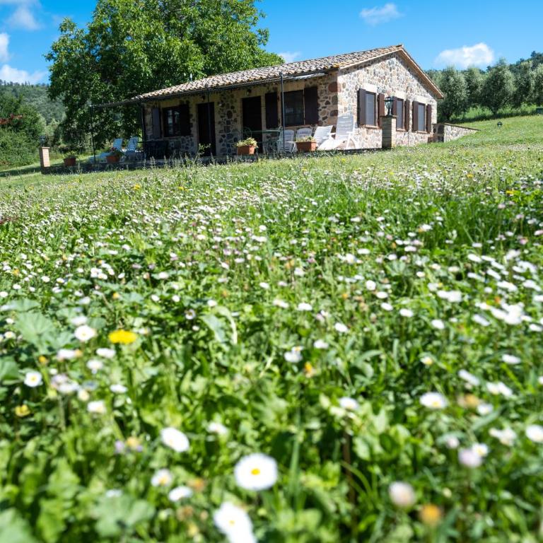 Poderaccio Agri Relais Apartments & Restaurant - Appartamento con 1 Camera da Letto e Vista Lago - 1