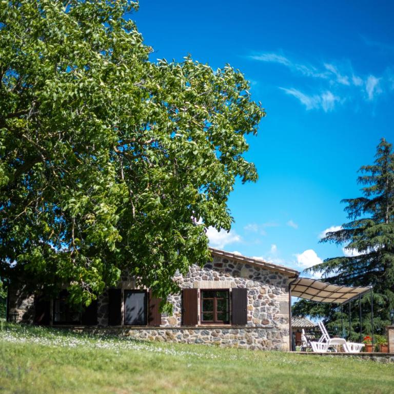 Poderaccio Agri Relais Apartments & Restaurant - Appartamento con 1 Camera da Letto e Vista Lago - 2