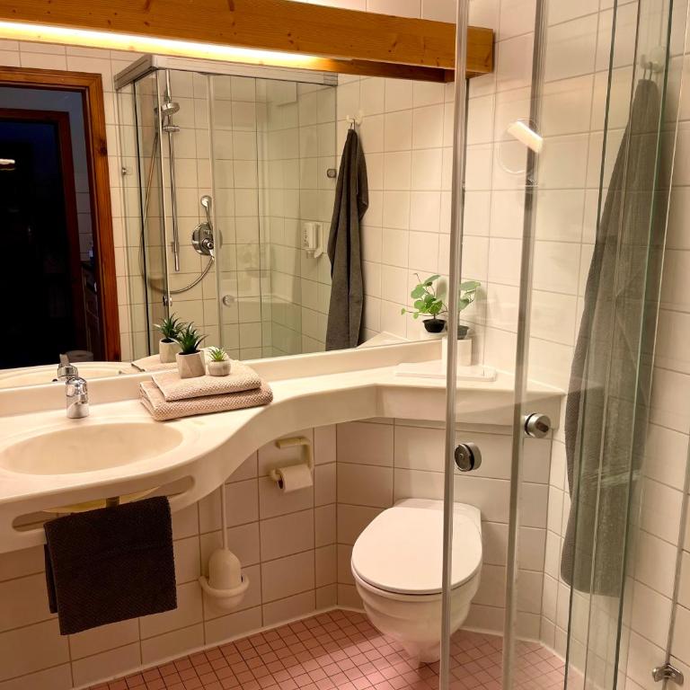 Landhaus Charivari Sommer-Hörnerbahnen kostenlos - Apartment mit 1 Schlafzimmer - 5