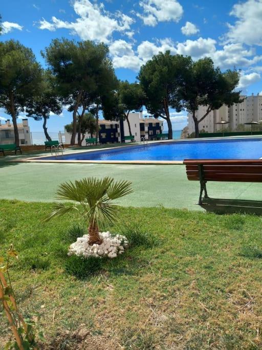 Lory's flat - Apartamento de 3 dormitorios - 9
