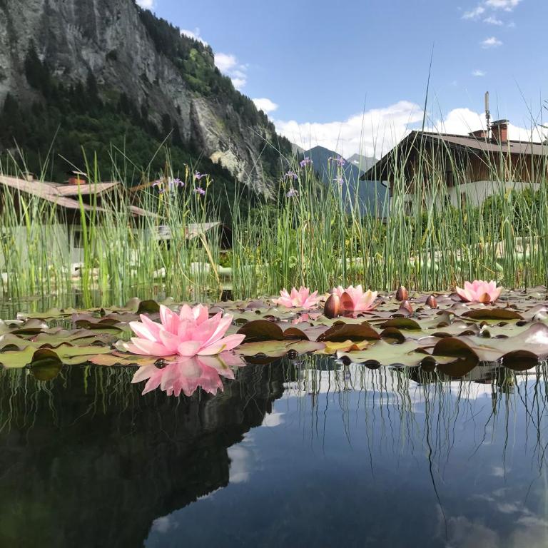Aparthotel Almrösl im Großarltal - Appartement avec Vue sur la Montagne - 9