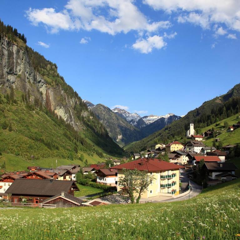 Aparthotel Almrösl im Großarltal - Appartement avec Vue sur la Montagne - 10