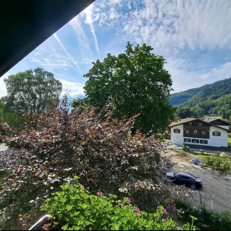 Fewo Schanzenblick und Fewo am Kaiser in der FWA Oberaudorf - Apartment - 7