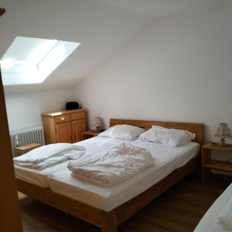 Fewo Schanzenblick und Fewo am Kaiser in der FWA Oberaudorf - Apartment - 10