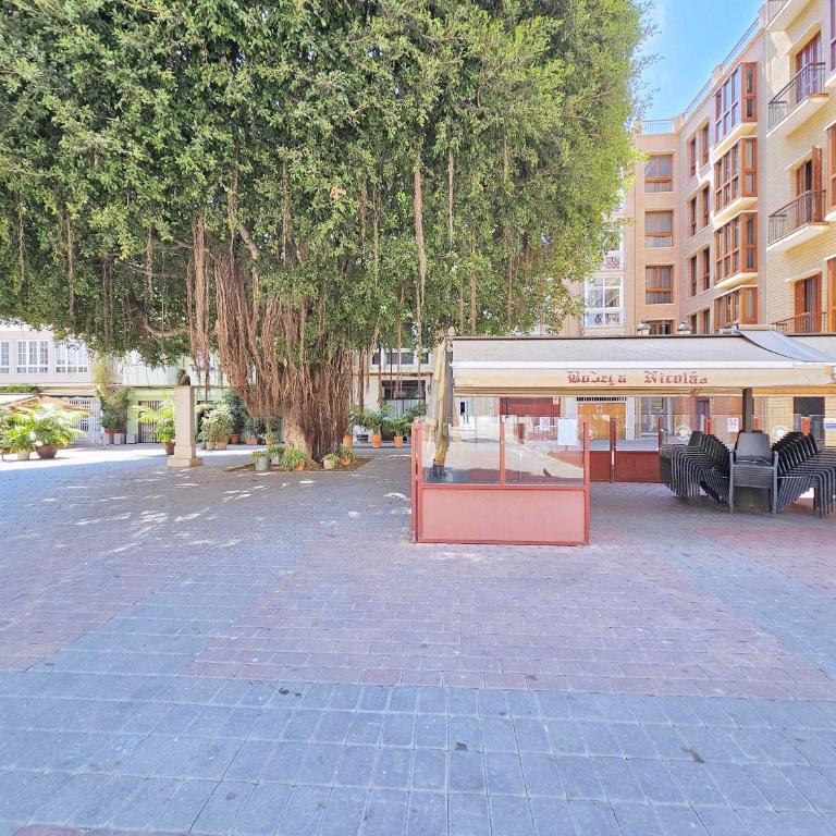 Apartamentos Nuevo Edificio Alba Cartagena centro Parking - Apartamento de 1 dormitorio con vistas a la ciudad - 60