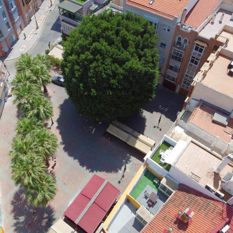Apartamentos Nuevo Edificio Alba Cartagena centro Parking - Apartamento de 1 dormitorio con vistas a la ciudad - 62