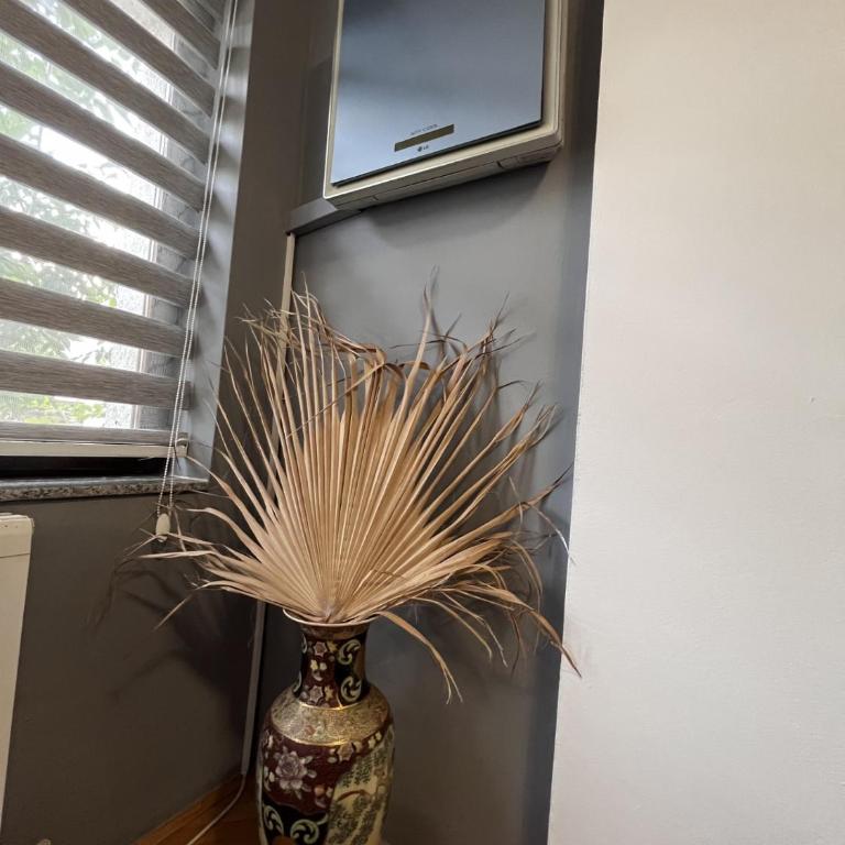 SApartman - Apartman sa 1 Spavaćom Sobom - 9