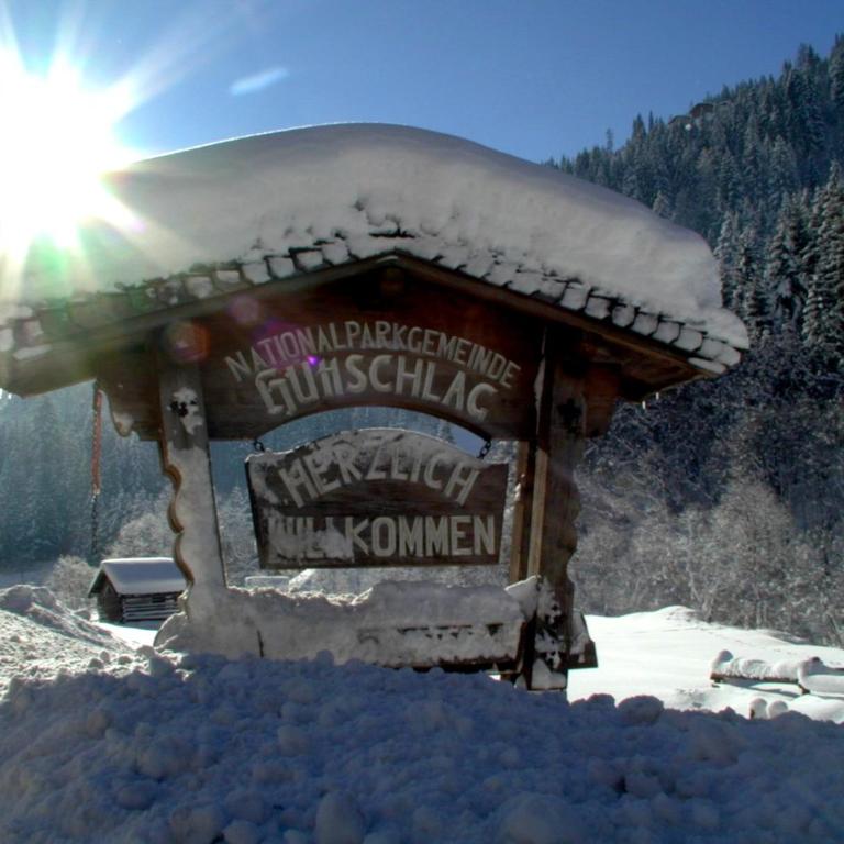 Aparthotel Almrösl im Großarltal - Appartement avec Vue sur la Montagne - 19