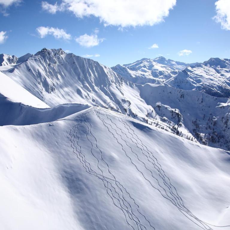 Aparthotel Almrösl im Großarltal - Appartement avec Vue sur la Montagne - 21