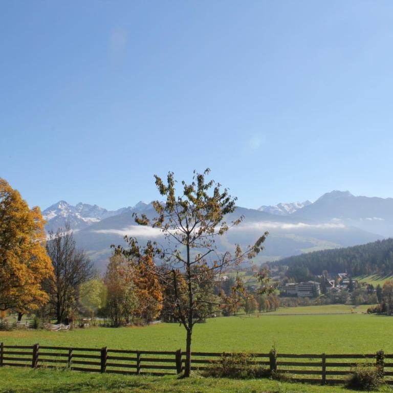 Pension Sonnwendhof - Appartement avec Vue sur la Montagne - 1