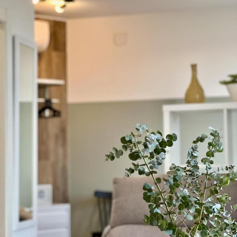 Apartamentos de Pradas - Penthouse Apartment - 4