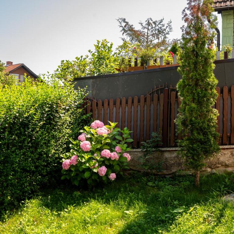 Vila Bjanka - Deluks Apartman - 29