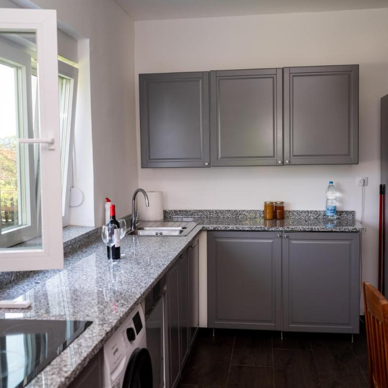 Vila Bjanka - Deluks Apartman - 32
