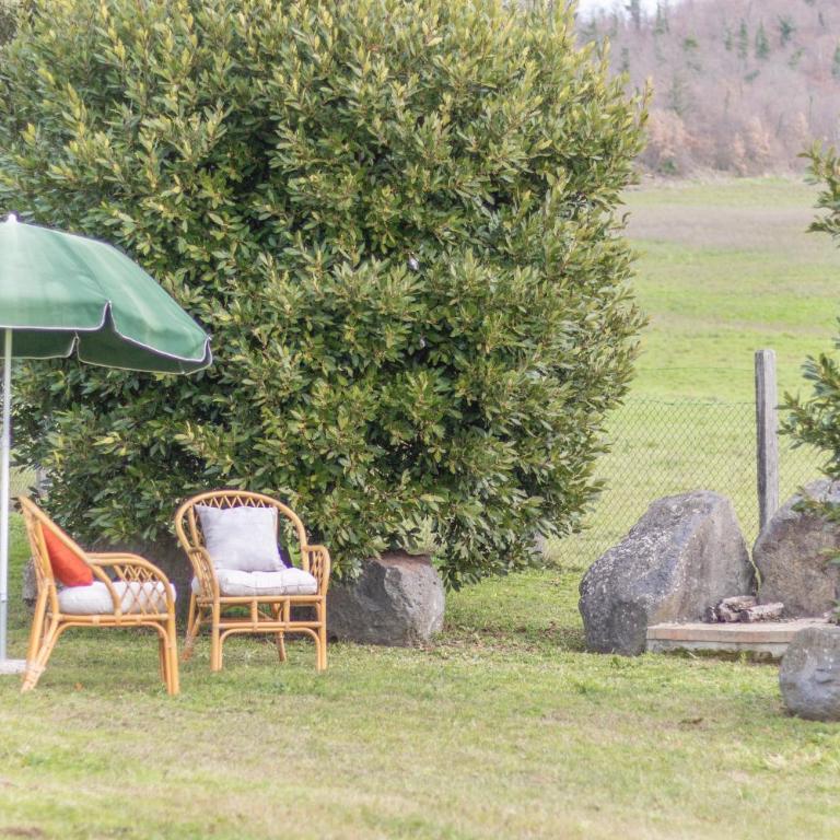 Poderaccio Agri Relais Apartments & Restaurant - Villa con Piscina Privata - 4