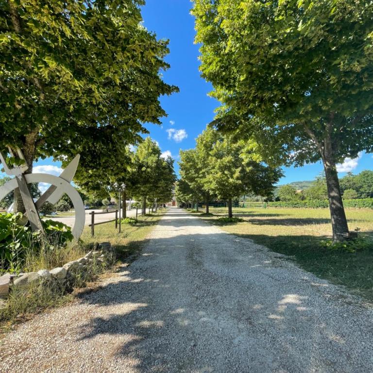 Il Casale Appartamento Assisi - Appartamento con 2 Camere da Letto - 38
