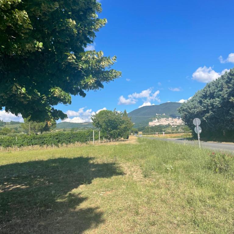 Il Casale Appartamento Assisi - Appartamento con 2 Camere da Letto - 39