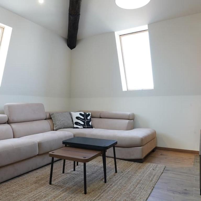 Belgrade Cloud - Apartman sa 1 Spavaćom Sobom - 30