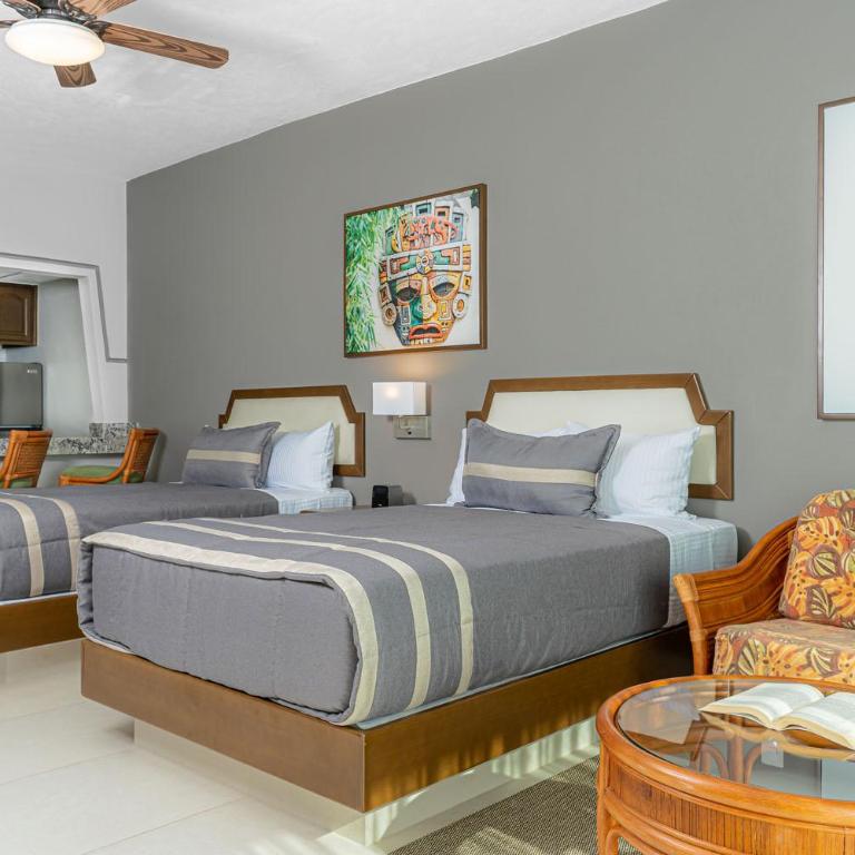 Paradise Village - Estudio Superior - 1