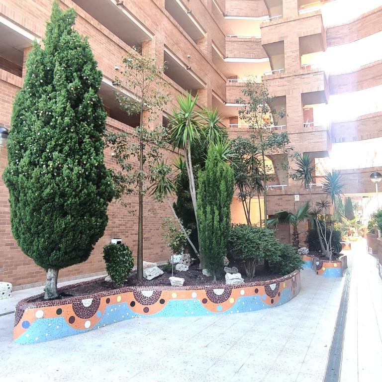 APCOSTAS Torremar - Oropesa - Apartamento de 2 dormitorios - 66