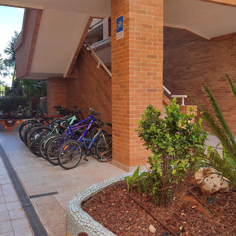 APCOSTAS Torremar - Oropesa - Apartamento de 2 dormitorios - 68
