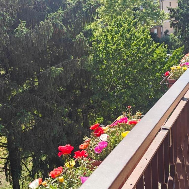 Oasi Verde - Appartamento con 2 Camere da Letto e Terrazza - 13