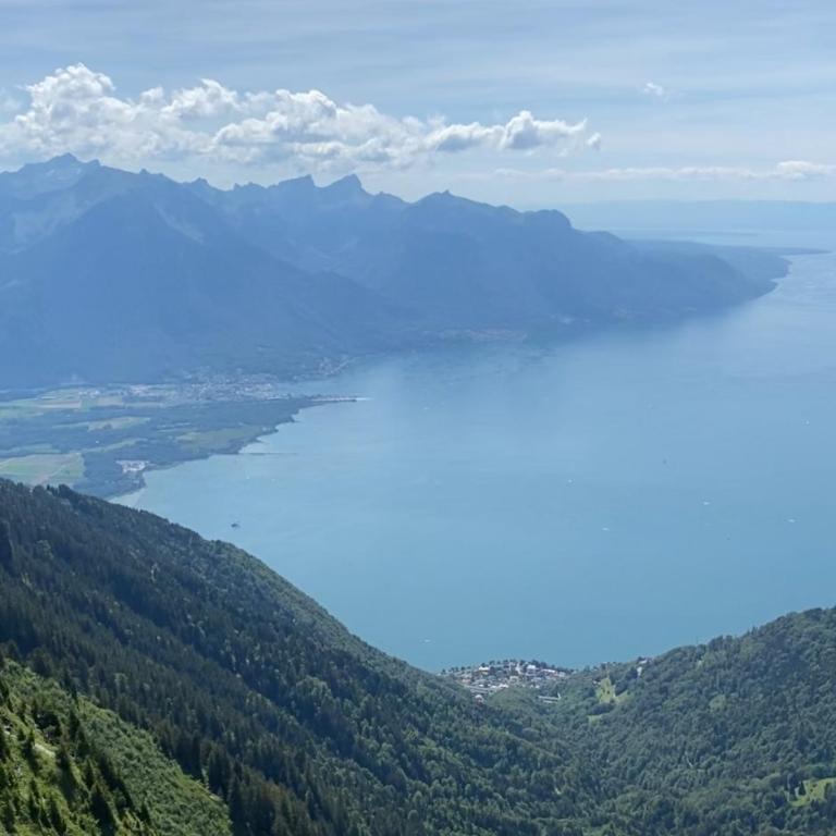 Close to Lake & Chillon Castle, New & Comfortable - Apartment mit 1 Schlafzimmer - 23