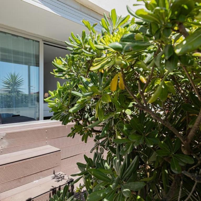 Super Studio Grande Motte - Front de Mer - Monolocale con Vista Mare - 13