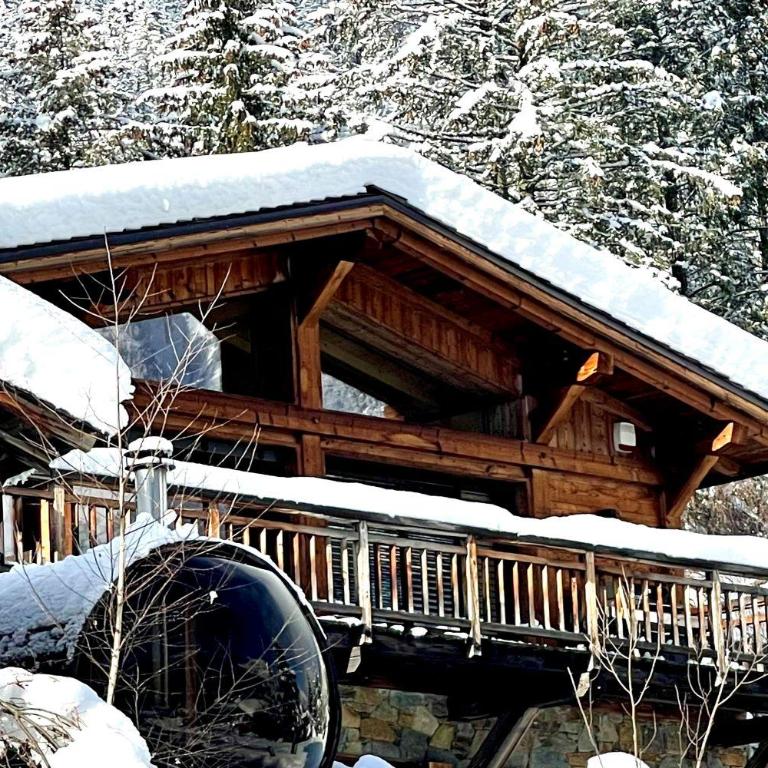 Marmotte Mountain Eco Lodge - Chalet - 33