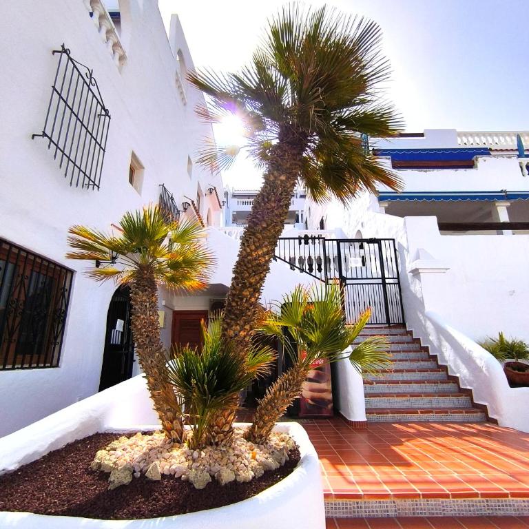 Los Cristianos - breathtaking view, AC, heated pool, fibre net - Apartamento Estudio con vistas al mar - 28