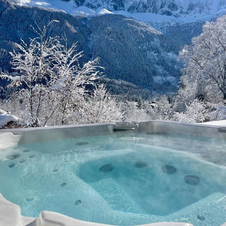 Marmotte Mountain Eco Lodge - Chalet - 14