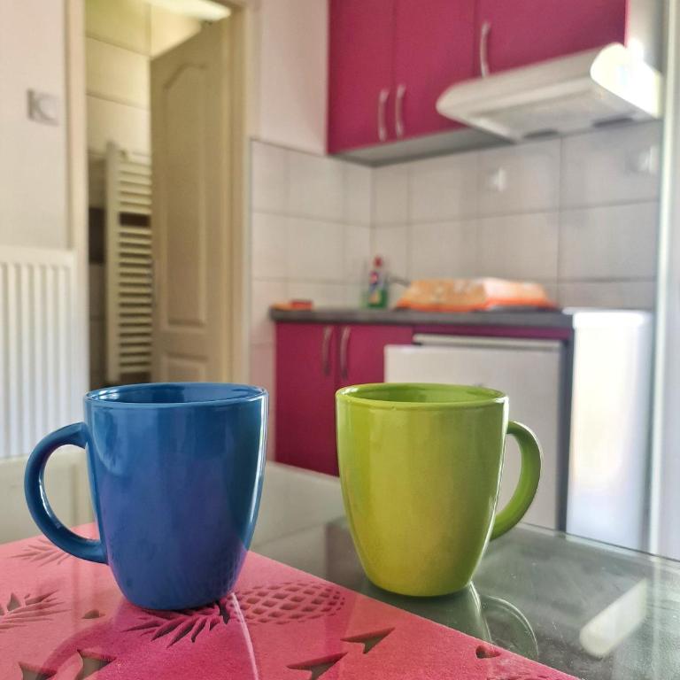 Maja V Apartmani Sokobanja - Apartman sa Terasom - 5