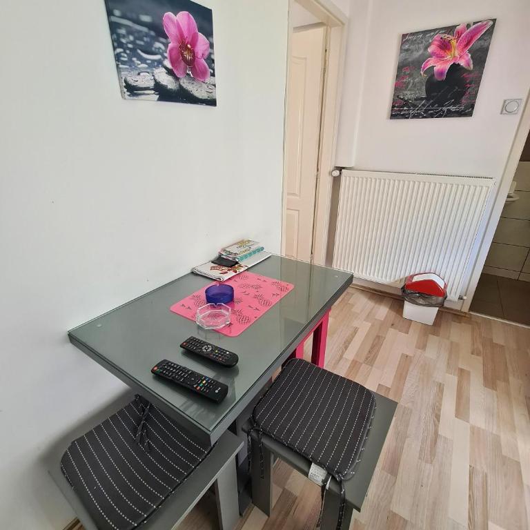 Maja V Apartmani Sokobanja - Apartman sa Terasom - 11