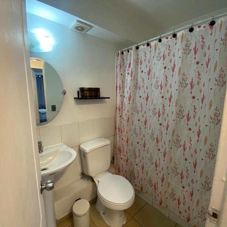 Apartamento Boldo Curico - Three-Bedroom Apartment - 13