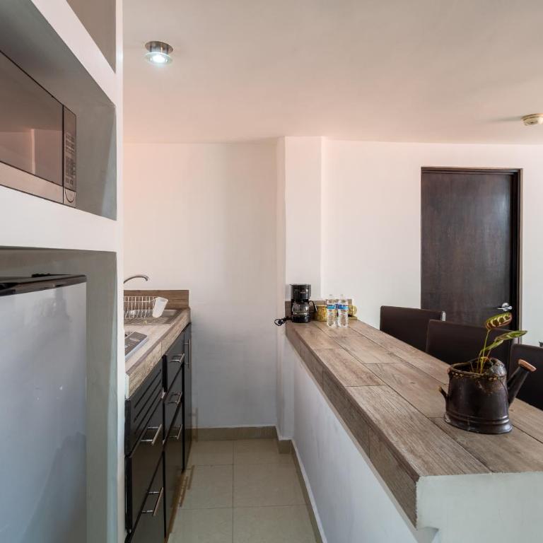 Suites 259 Condesa - Superior Suite - 12