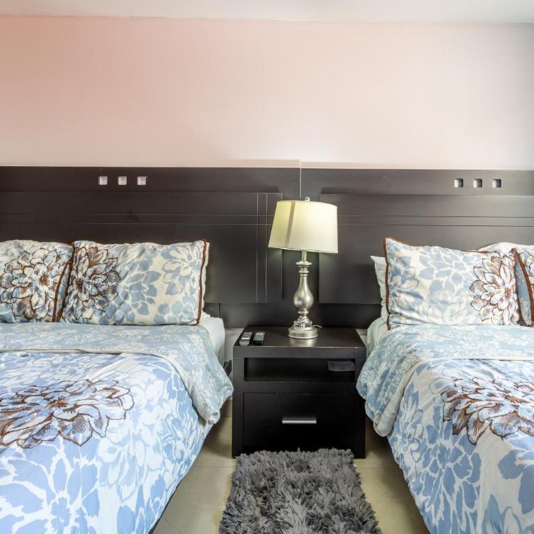 Suites 259 Condesa - Superior Suite - 3
