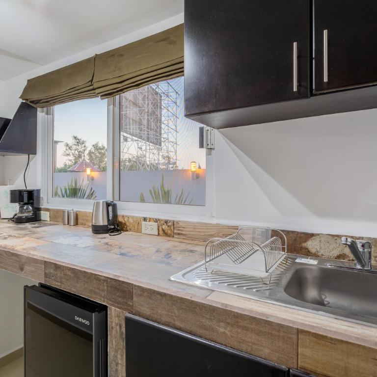 Suites 259 Condesa - Suite with Terrace - 4