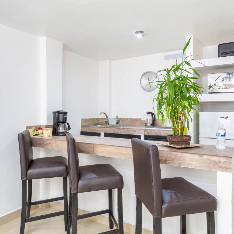 Suites 259 Condesa - One-Bedroom Suite - 12