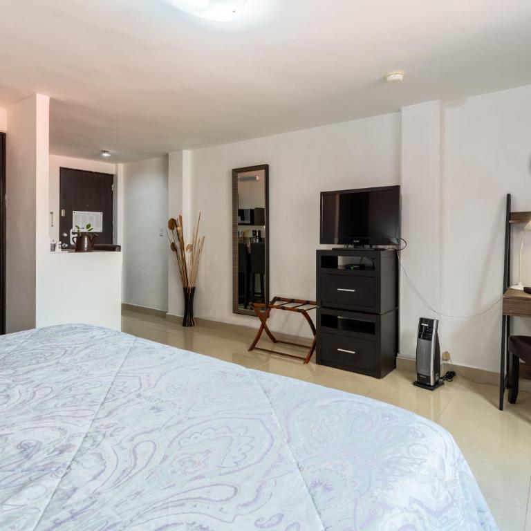 Suites 259 Condesa - Superior Studio - 14