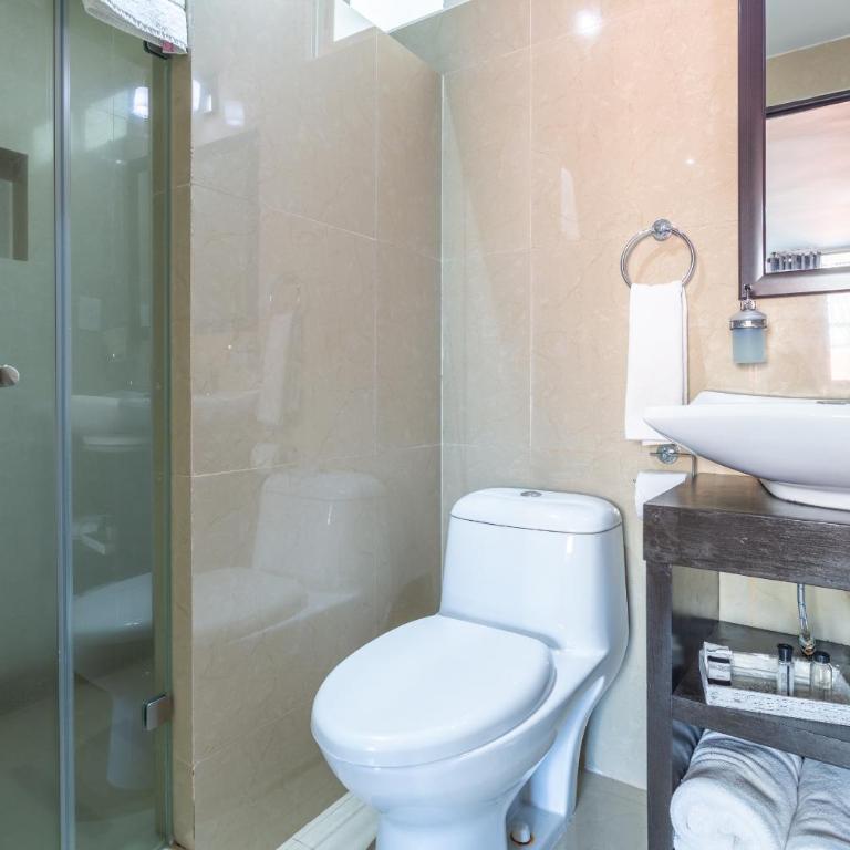 Suites 259 Condesa - Superior Studio - 3