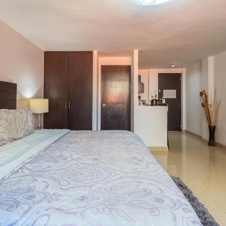 Suites 259 Condesa - Superior Studio - 7